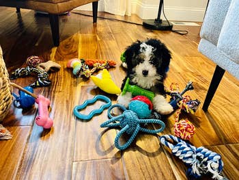 toy