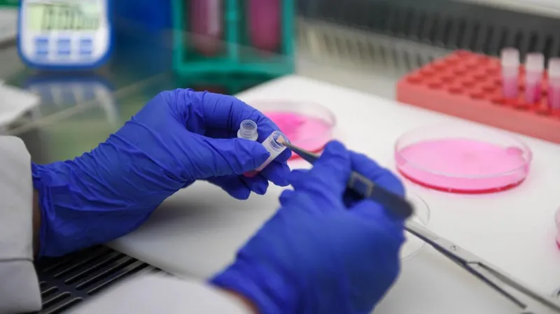 Scientists revived the skin sample and used it to create new living cells
