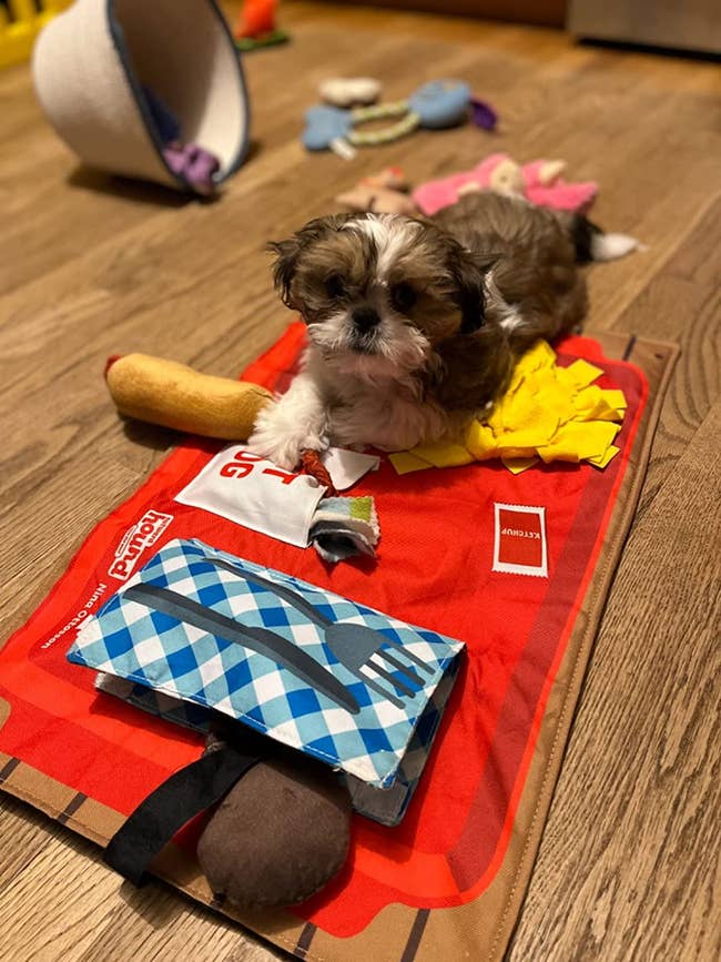 toy