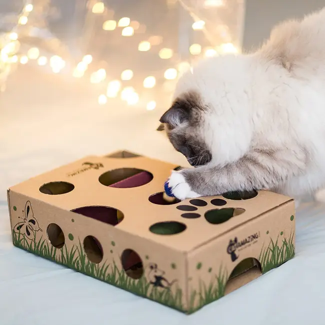 toy
