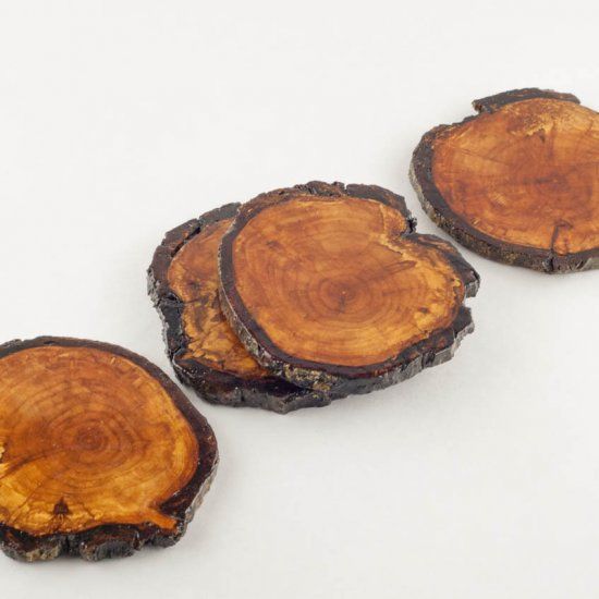 DIY Branch Coasters