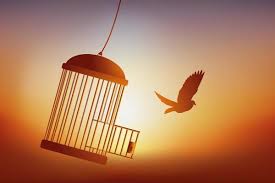 Freedom